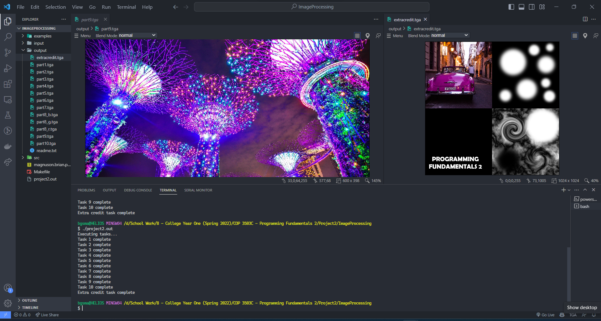 TGA Image files open in a text editor